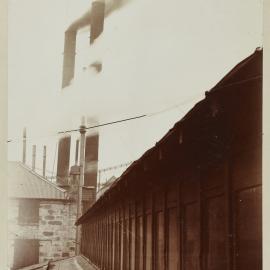 Print - Colonial Sugar Company, Bowman Street Pyrmont, 1901