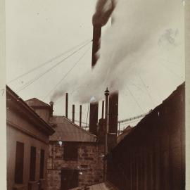 Print - Colonial Sugar Company in Bowman Street Pyrmont, 1901