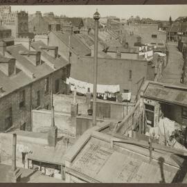 Print - Houses and backyards from Maiden Lane Surry Hills, 1916