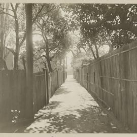 Print - Streetscape along Earl Street Potts Point, 1917