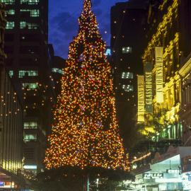Sydney Christmas Tree, Pitt Street Sydney, 1995