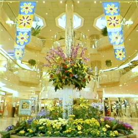 Splendiflora, Grace Brothers, Broadway Sydney, 1997