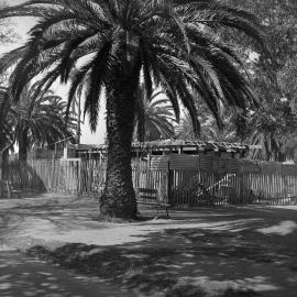 Toilet blocks at Redfern Oval, Redfern Street Redfern, 1953