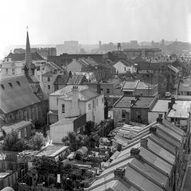 Panorama over Harris Street Ultimo, 1964