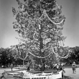 Christmas tree, Hyde Park Sydney, 1962