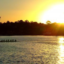 Rowers on Rozelle Bay, from Bicentennial Park, Chapman Road Annandale, 2009