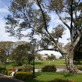 Footbridge across Lake Northam in Victoria Park Camperdown, 2003