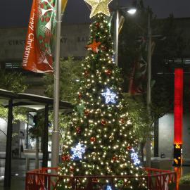 Night view, Christmas Tree, Custom Square, Alfred Street Circular Quay, 2005