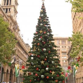 Christmas Tree, Martin Place Sydney, 2005