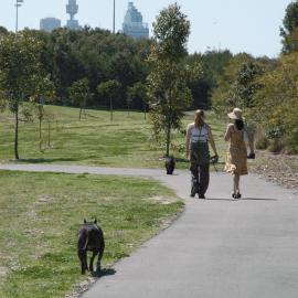 Walking the dog in Sydney Park Alexandria, 2004