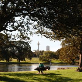 Man sitting on bench at Kippax Lake, Moore Park Paddington, 2004