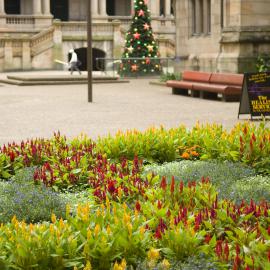 Sydney Town Hall with Christmas Tree, George Street Sydney, 2007