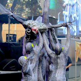 Snake performers, Chinese New Year Launch, Belmore Park Sydney, 2013