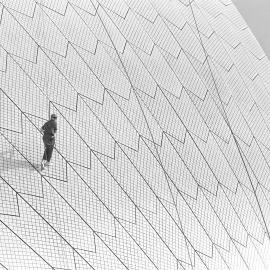 Cleaning Opera House Shell, Circular Quay Sydney, 1993