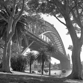 Trees below the Sydney Harbour Bridge, Hickson Road Dawes Point 1999
