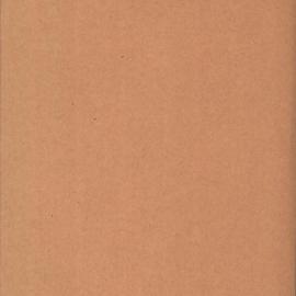 File - Resignation letter by James Hawthorne, Sydney, 1900