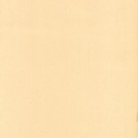 File - Report on plague precautions undertaken at Public Library of NSW, Sydney, 1900