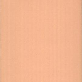 File - Report of overlapping inspections by Health Board and Sydney Council, Sydney, 1900