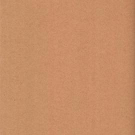 File - Insanitary state of premises of Dr Maitland, Macquarie Street South Sydney, 1900