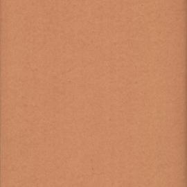File - Recommendation that Water Board supply water for freshening Kippax Lake, Moore Park, 1902