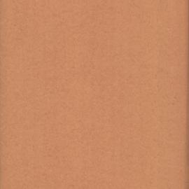 File - Report of suspension of labourer, E O'Connell, Sydney, 1903