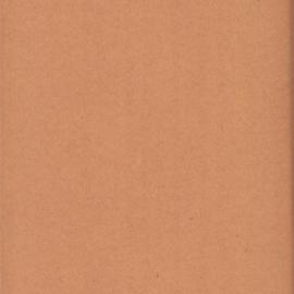 File - Request for information on Council's prospective requirement of timber for blocks, 1903