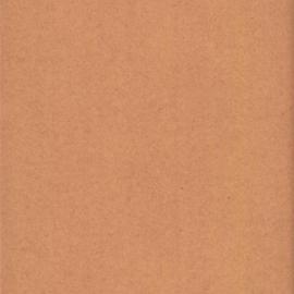 File - Request for reassessment of rates on a property, 389 Dowling Street Moore Park, 1903