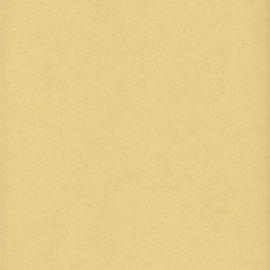 J. C. Isbester. [Summons-  Insanitary state of offices 393 Sussex Street]