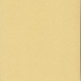Esther Summers. [Necessity of having by-law preventing spitting on footways.]