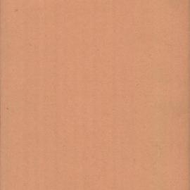 Public Works Dept. - Town Clerk. Report by Government Architect on designs submitted for interior
