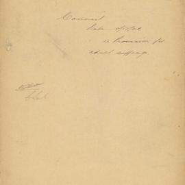 File - Council - Town Clerk. To extend suffrage to all male and female adults.