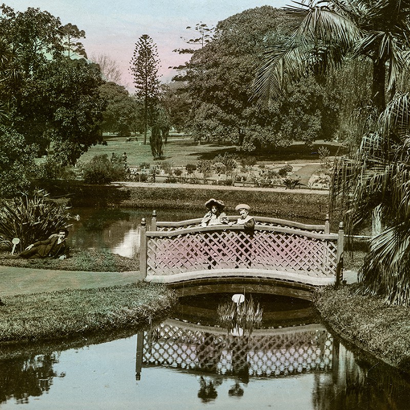 Postcard view of the Royal Botanic Gardens Sydney, circa 1907 (A-00016208)