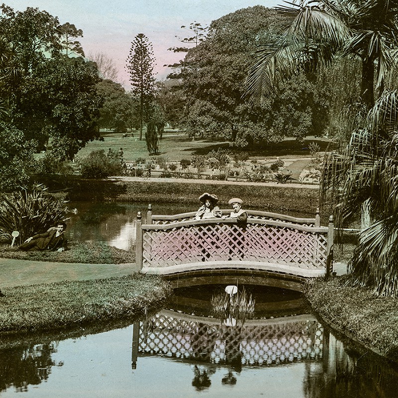 Royal Botanic Gardens and the Domain 