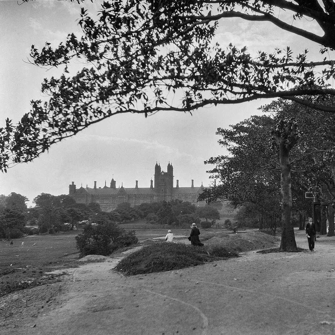 University of Sydney from Victoria Park Camperdown, 1930s (A-00014978)