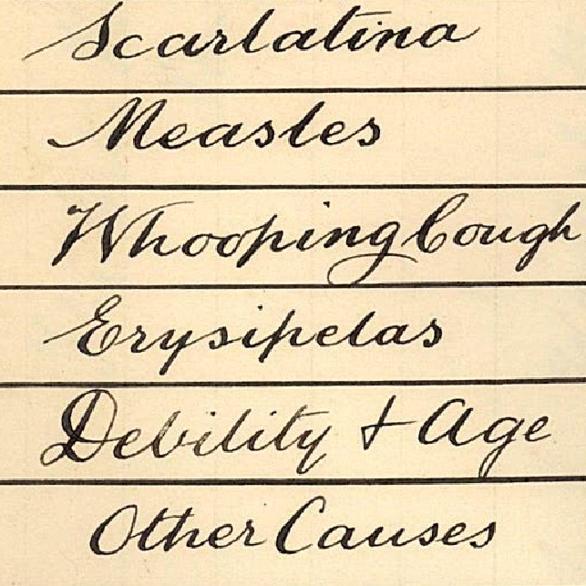Excerpt from Health of the city report by D Gwynne-Hughes, City Health Officer, 1892 (A-00324555)