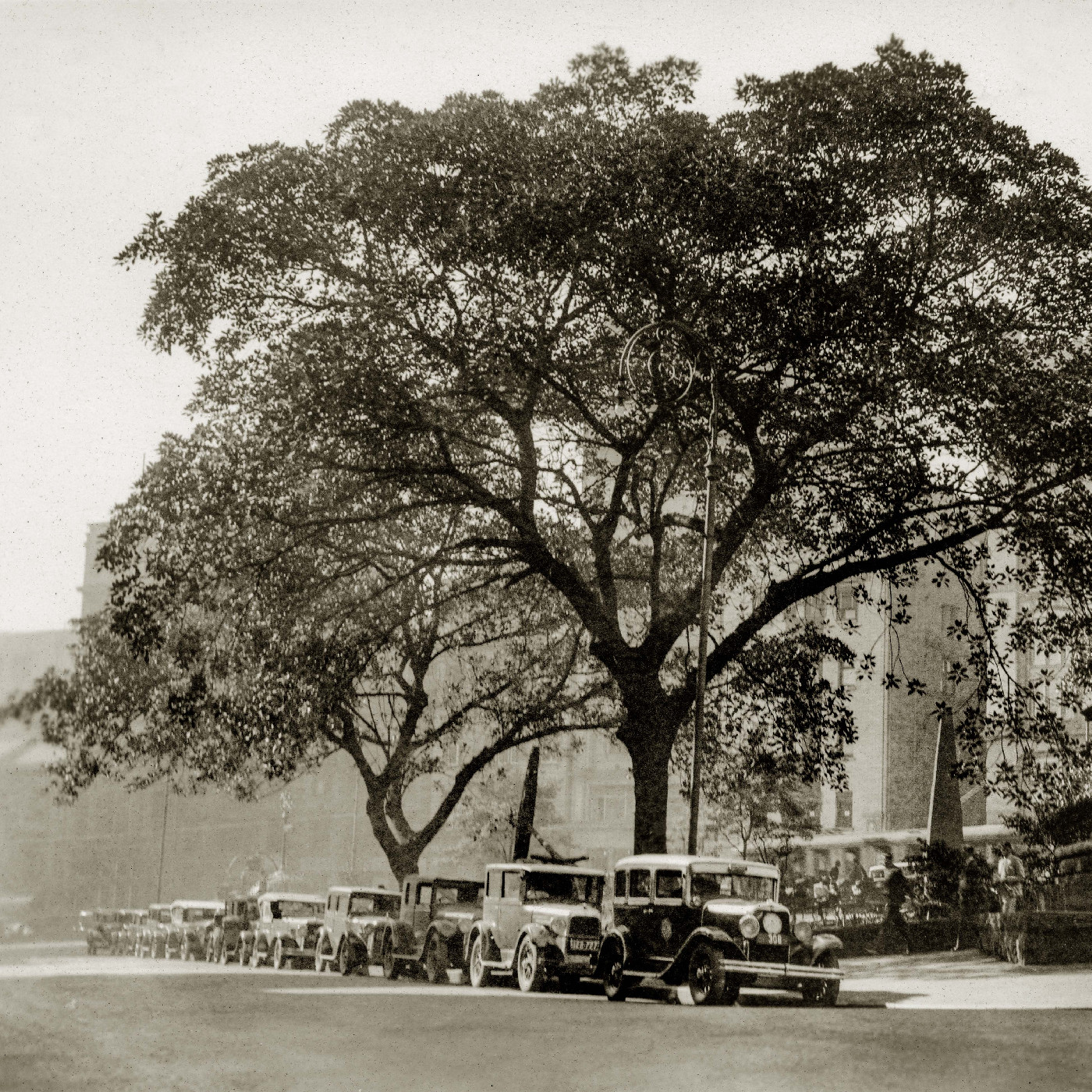 Macquarie Place Park, Bridge Street Sydney, 1934 
(A-00055069)