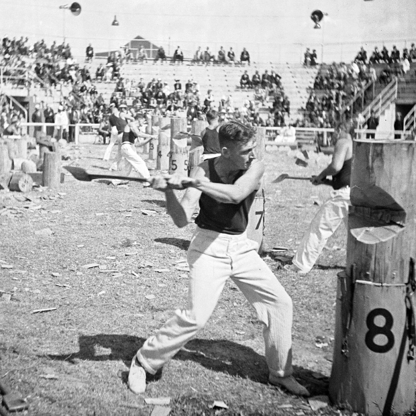 Moore Park - Centennial Park - Hoarding Images