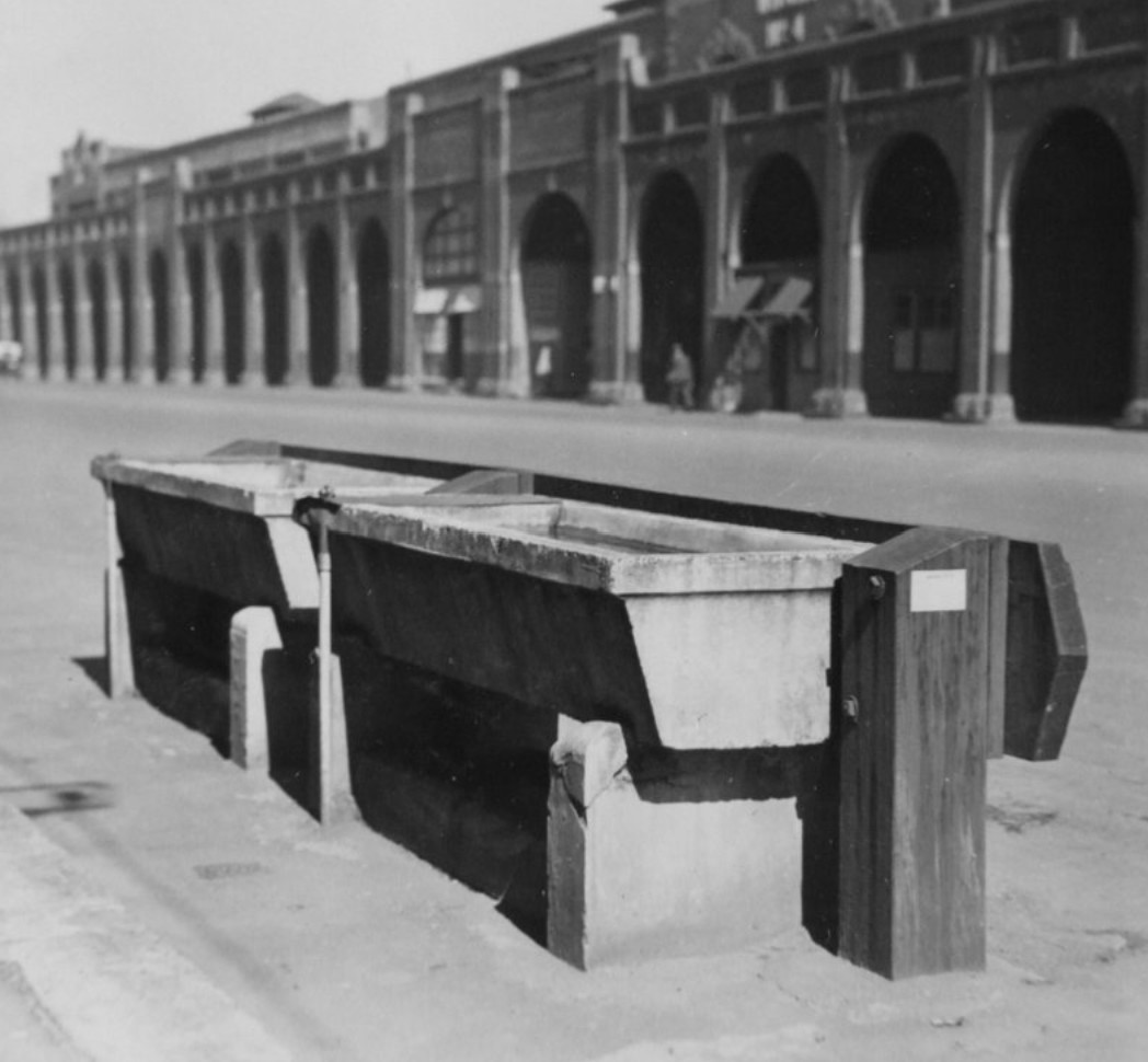 Horse troughs, 1934 (A-00007542)