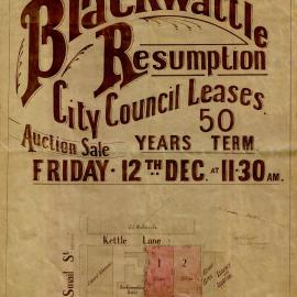 Blackwattle resumption [area between Bay, Smail Streets and Kettle Lane]