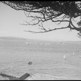 Boats racing on Sydney Harbour, Nielsen Park, Vaucluse, 1941 