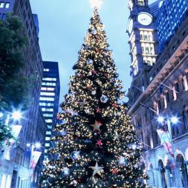 View of Christmas tree facing east at Martin Place Sydney, 2004