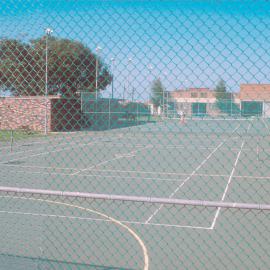 Alexandria Park Tennis Court, 1981