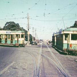 Trams meet at an intersection on South Dowling Street Waterloo, 1954