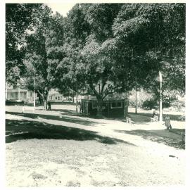 Green Park, Darlinghurst Road and Burton Street Darlinghurst, 1970