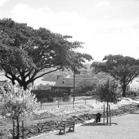 New trees in Observatory Park, Millers Point, 1941