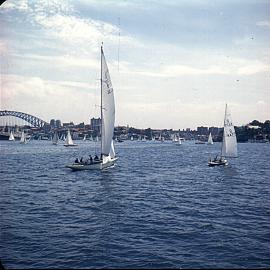 Sydney, yachts from Cremorne Point. | 3 votes