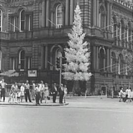 Town Hall Christmas tree