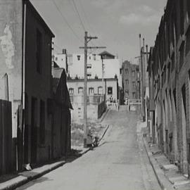 Residential buildings on Langley Street Darlinghurst, 1940